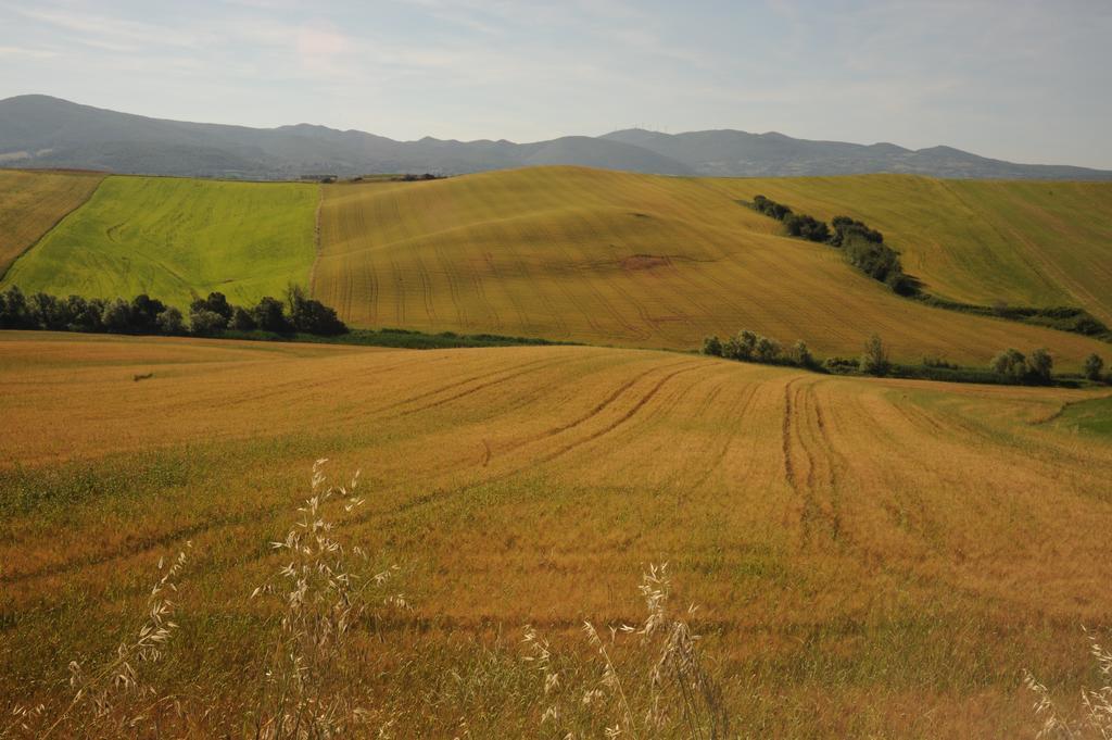 Agriturismo Mandriato Santa Luce Esterno foto